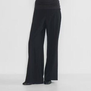 Aritzia Babaton strive pant Mid-rise wide-leg crepe pants